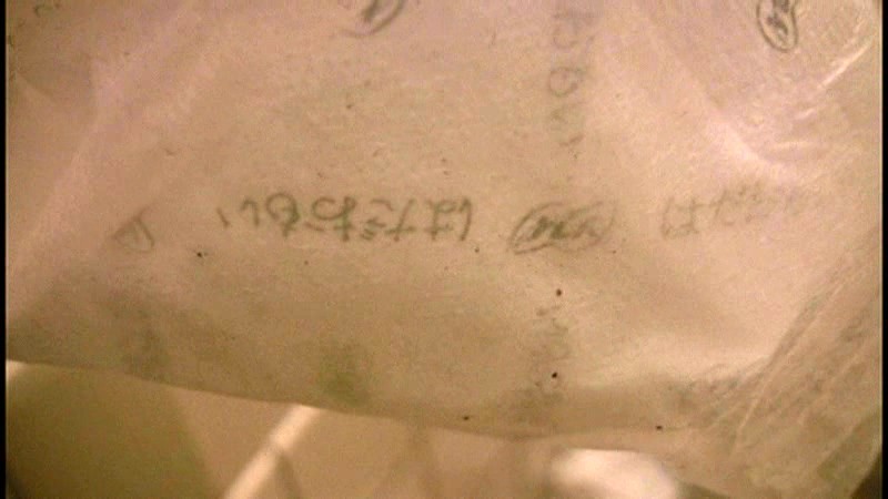 サンプル画像 17