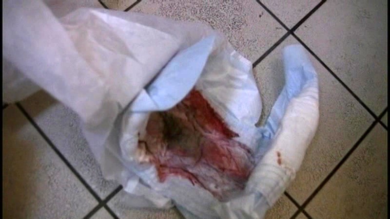 サンプル画像 18