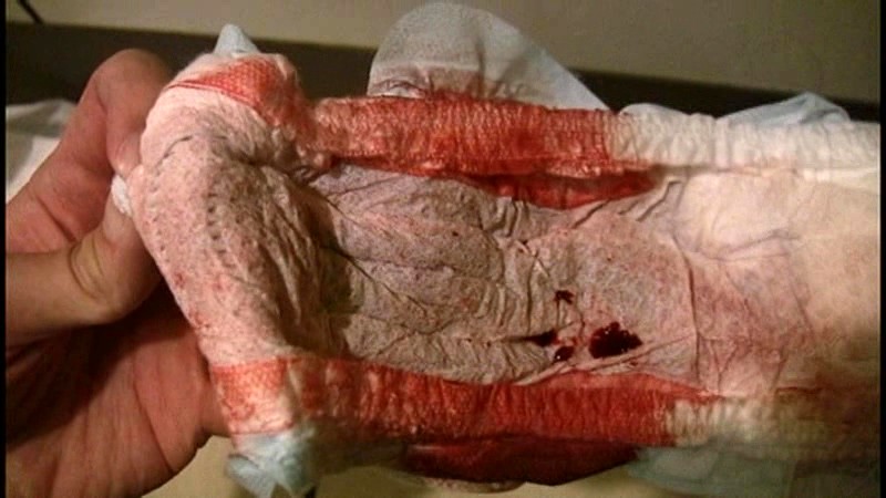 サンプル画像 20