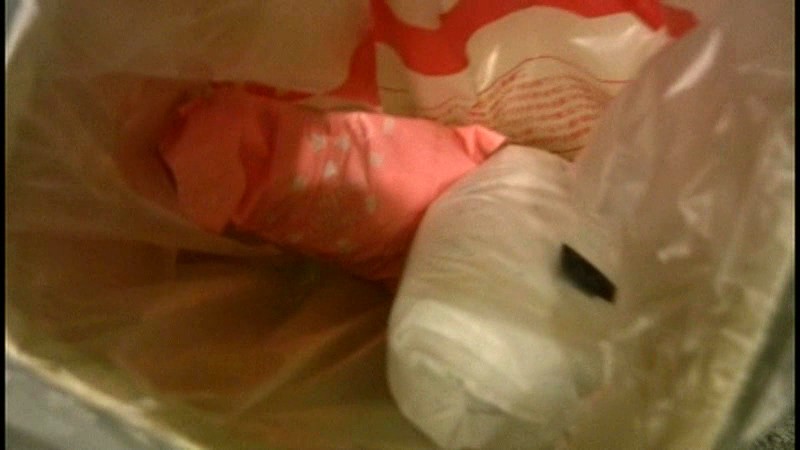 サンプル画像 3