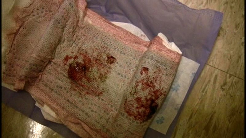 サンプル画像 21