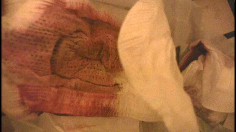 サンプル画像 4