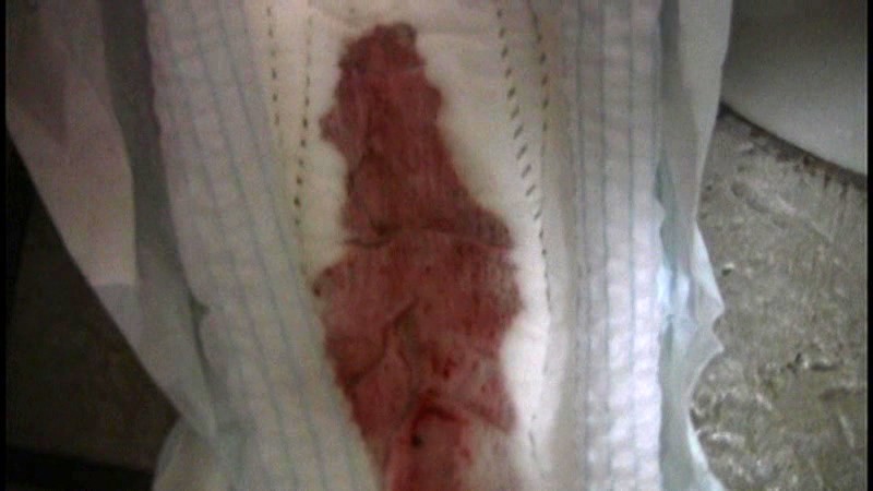 サンプル画像 5