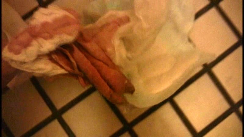 サンプル画像 7