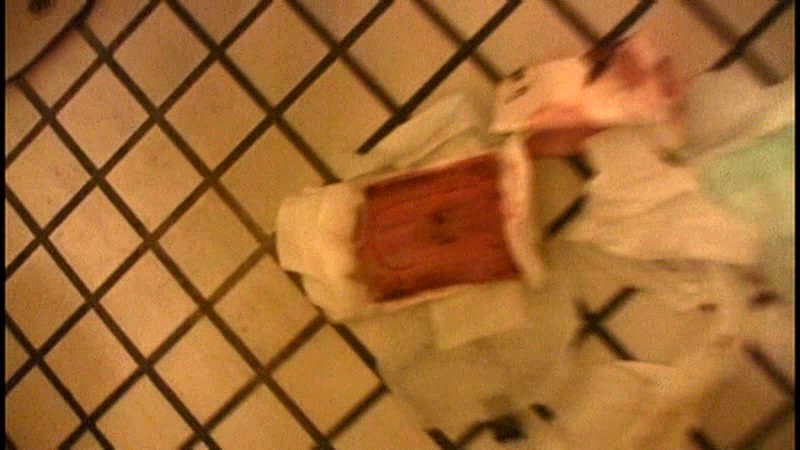 サンプル画像 8