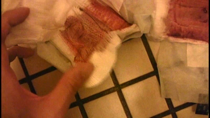 サンプル画像 9