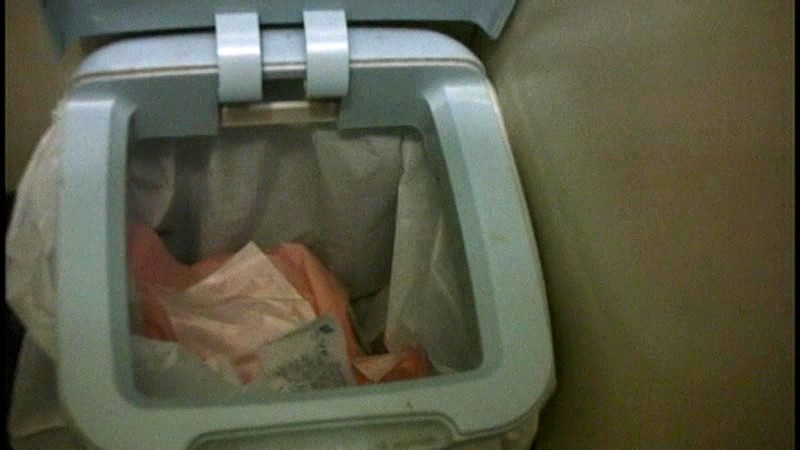 サンプル画像 10