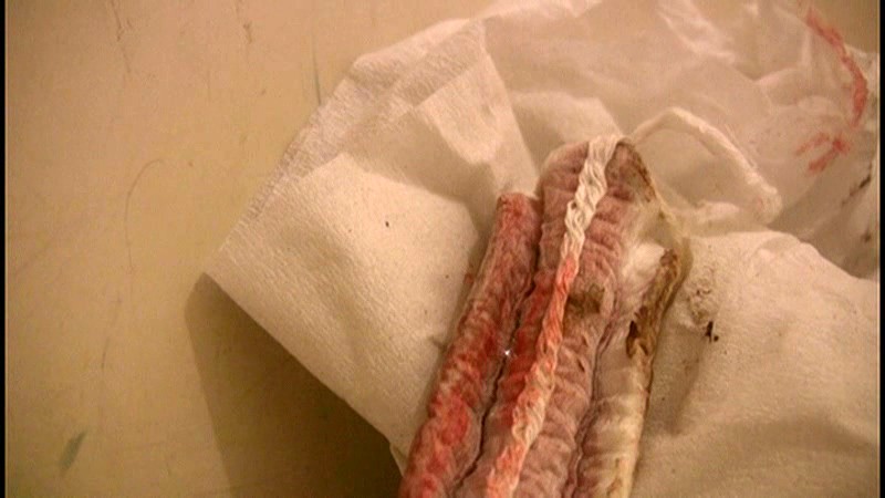 サンプル画像 11