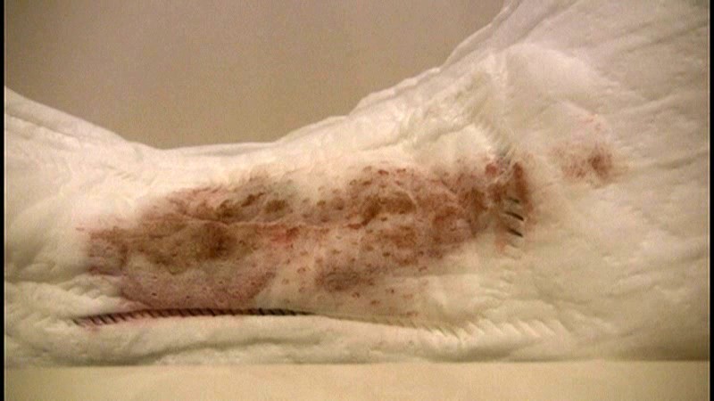 サンプル画像 15