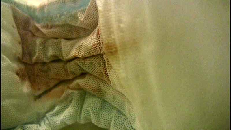 サンプル画像 16