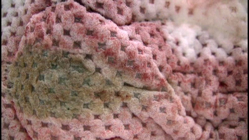 サンプル画像 18