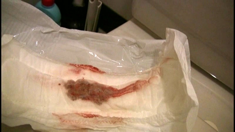 サンプル画像 20