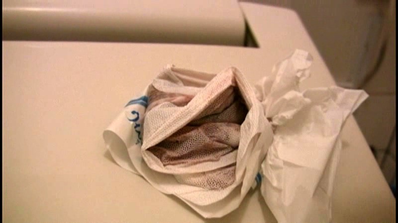 サンプル画像 3