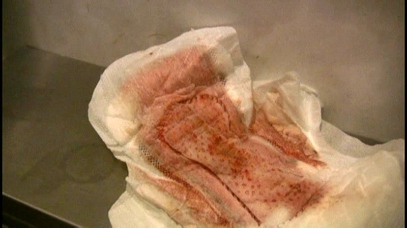 サンプル画像 6