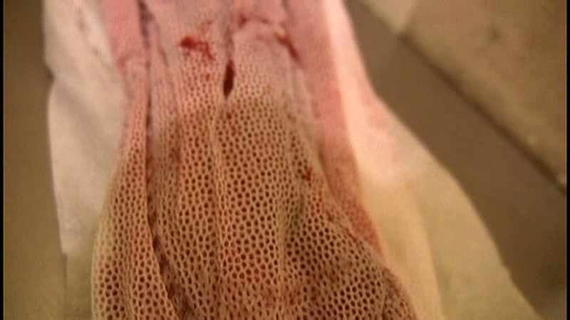 サンプル画像 8