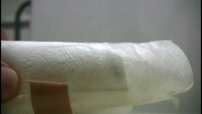 サンプル画像 10