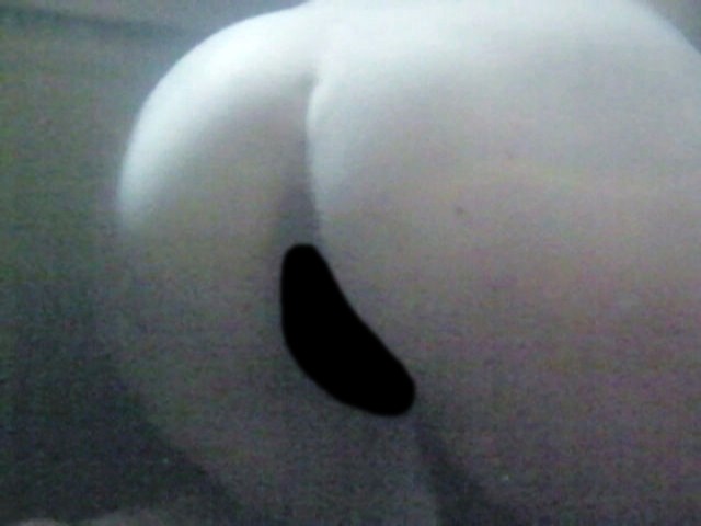 サンプル画像 10