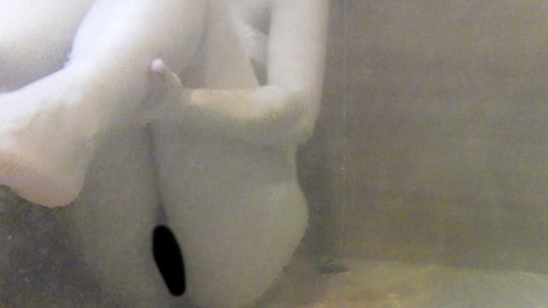 サンプル画像 13