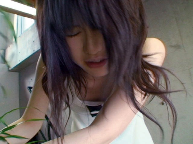 サンプル画像 10