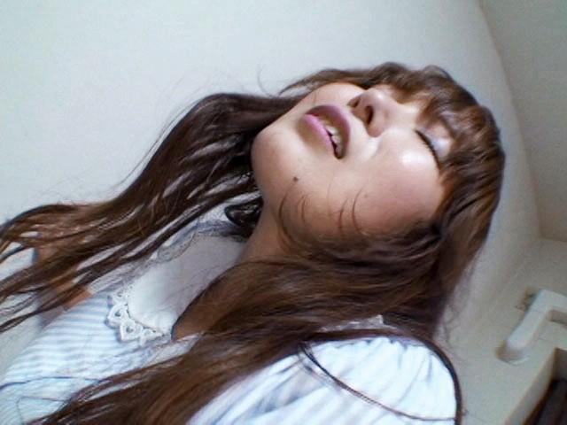 サンプル画像 4