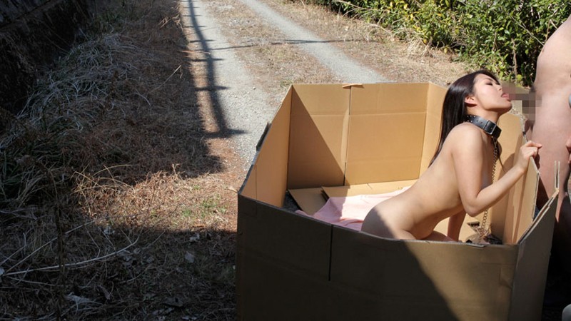 サンプル画像 10