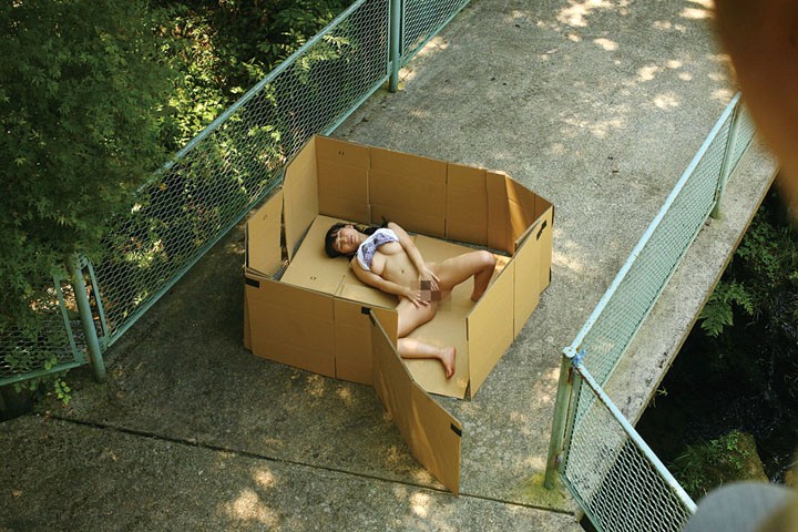 サンプル画像 11