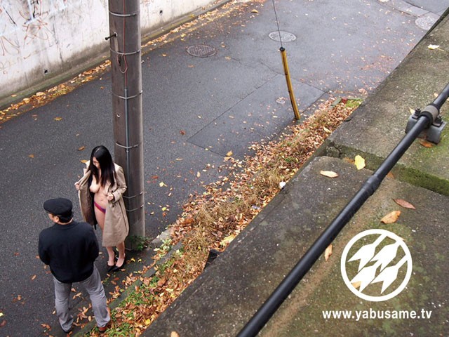 サンプル画像 13