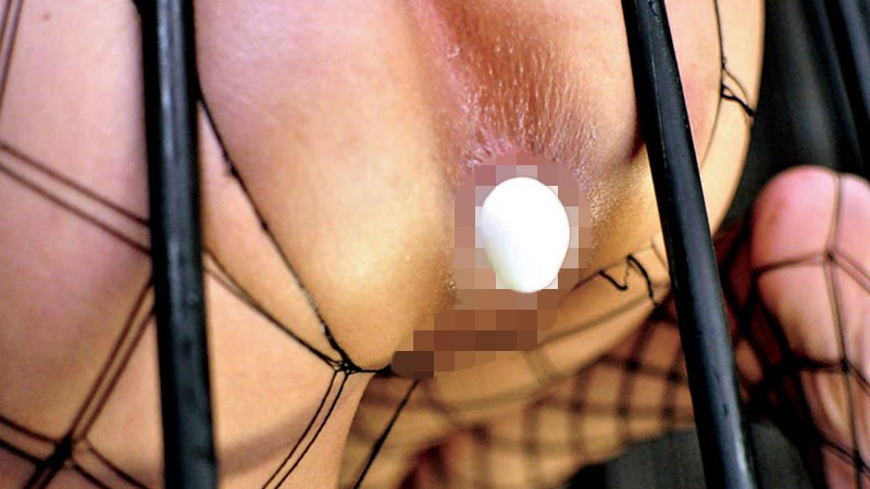 サンプル画像 19