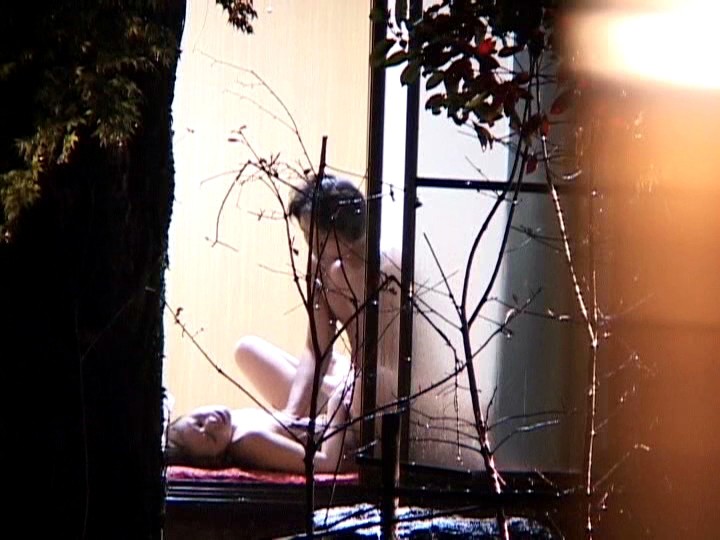 サンプル画像 15