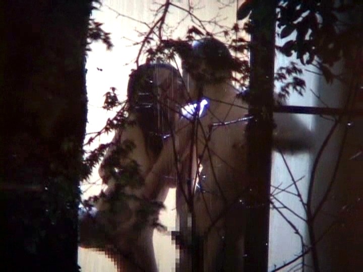 サンプル画像 4