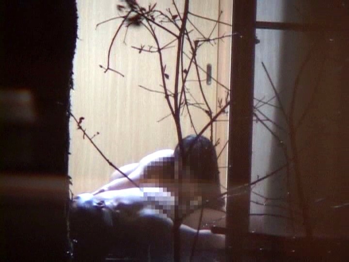 サンプル画像 6