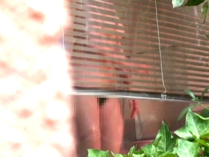 サンプル画像 6