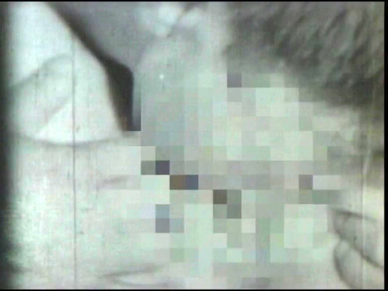 サンプル画像 11