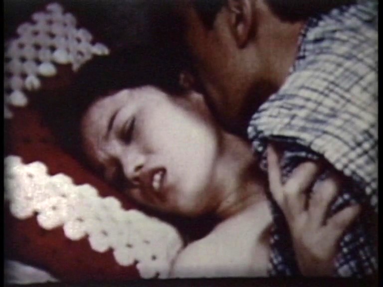 サンプル画像 19