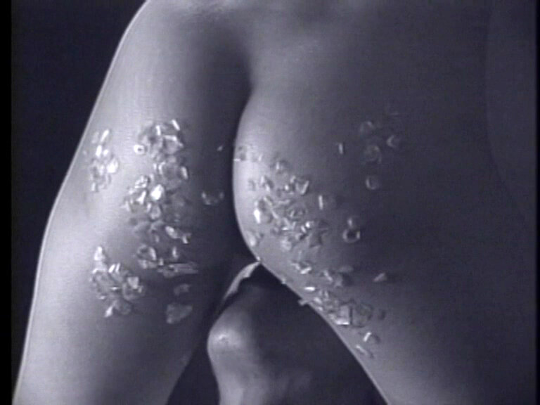 サンプル画像 5