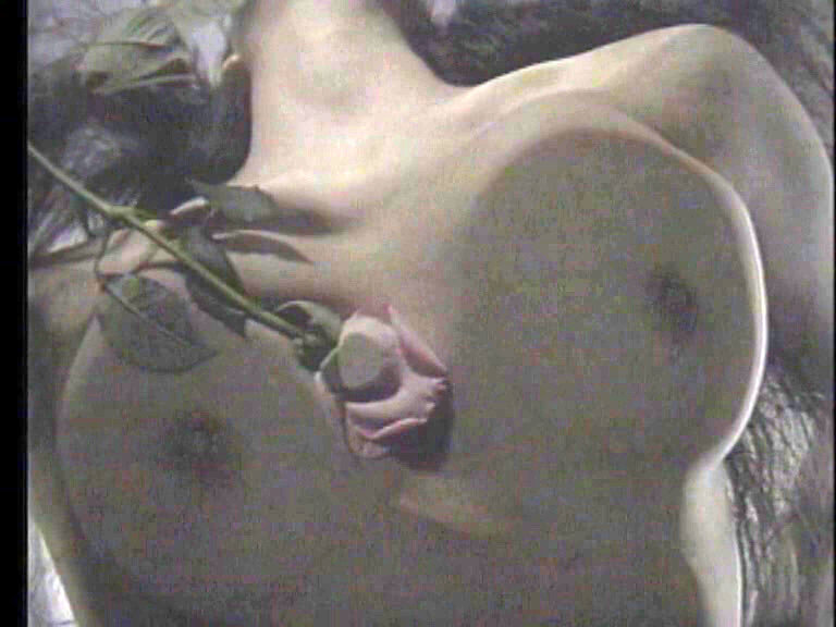 サンプル画像 13