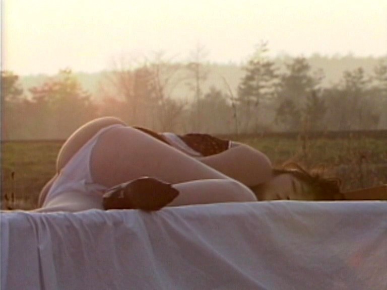 サンプル画像 8