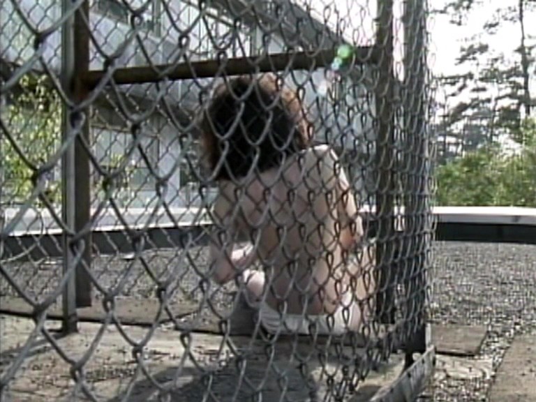 サンプル画像 5