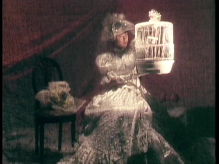 サンプル画像 12