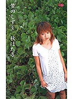 パッケージ画像