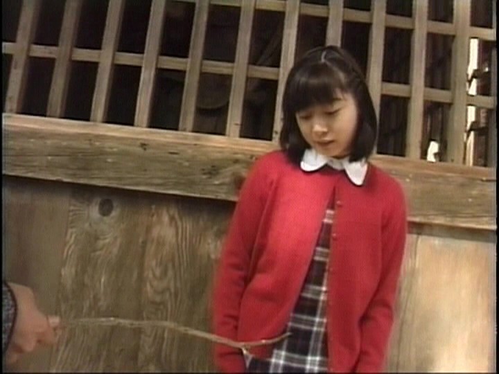 サンプル画像 2