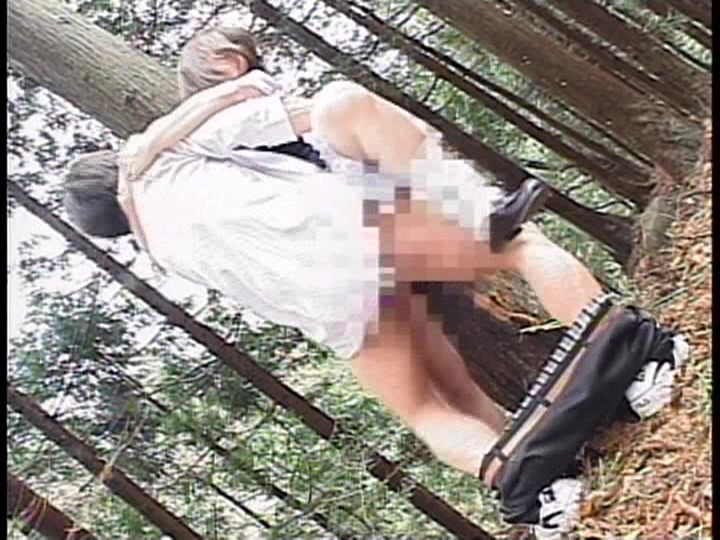 サンプル画像 3