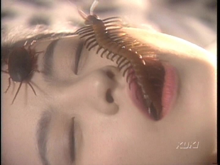 サンプル画像 9