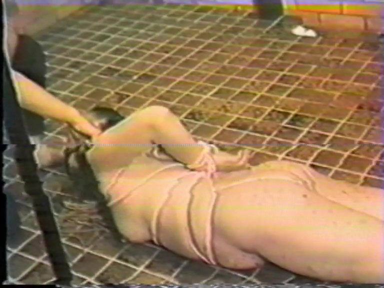 サンプル画像 18