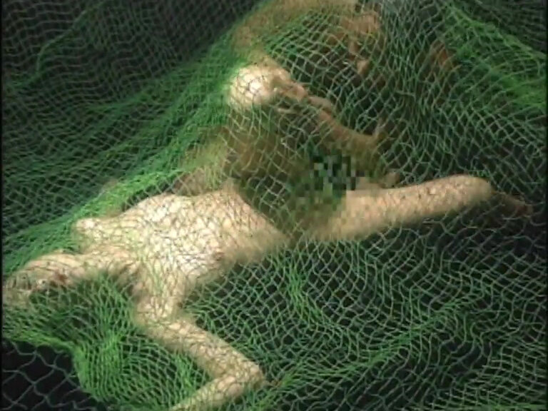 サンプル画像 12