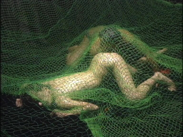 サンプル画像 13