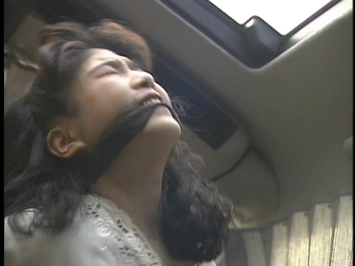 サンプル画像 10