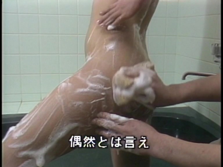 サンプル画像 5