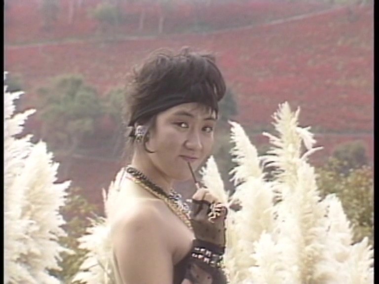 サンプル画像 5