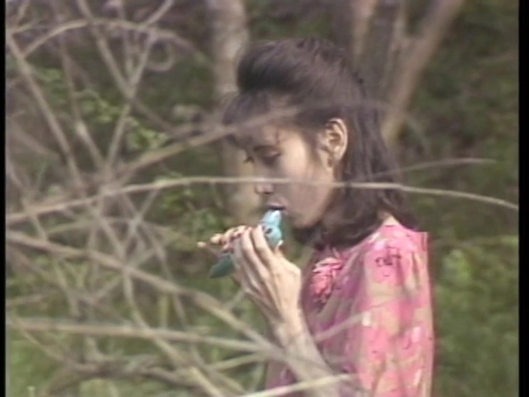サンプル画像 2